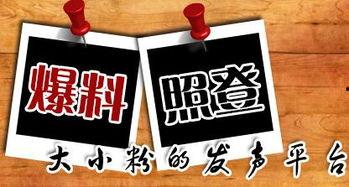 重庆最新爆料事件新闻,神秘事件引发社会关注